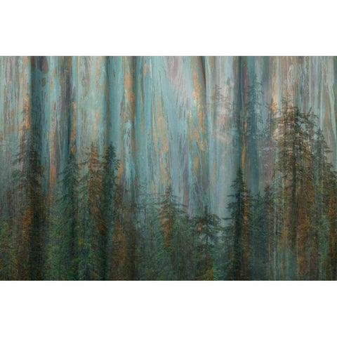 Forest I Black Modern Wood Framed Art Print with Double Matting by Mahan, Kathy