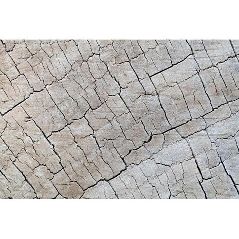 Weathered Wood I Black Modern Wood Framed Art Print by Mahan, Kathy