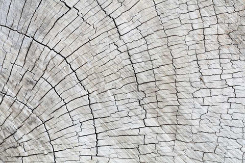 Weathered Wood II White Modern Wood Framed Art Print with Double Matting by Mahan, Kathy