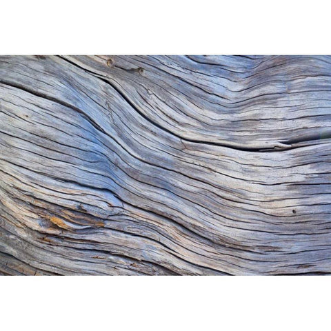 Weathered Wood III Black Modern Wood Framed Art Print by Mahan, Kathy