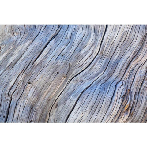 Weathered Wood IV White Modern Wood Framed Art Print by Mahan, Kathy