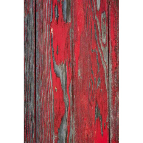 Distressed I Black Modern Wood Framed Art Print by Mahan, Kathy