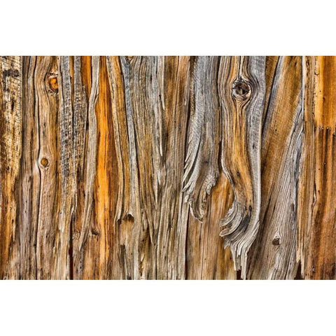 Weathered Wall II White Modern Wood Framed Art Print by Mahan, Kathy