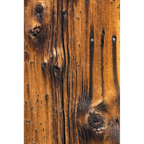 Wood Detail I Black Modern Wood Framed Art Print with Double Matting by Mahan, Kathy