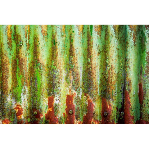 Corrugated Metal Gold Ornate Wood Framed Art Print with Double Matting by Mahan, Kathy