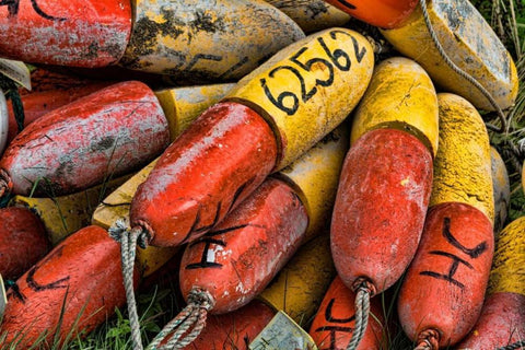 Fishing in Alaska I Black Ornate Wood Framed Art Print with Double Matting by Mahan, Kathy