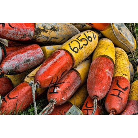 Fishing in Alaska I Gold Ornate Wood Framed Art Print with Double Matting by Mahan, Kathy