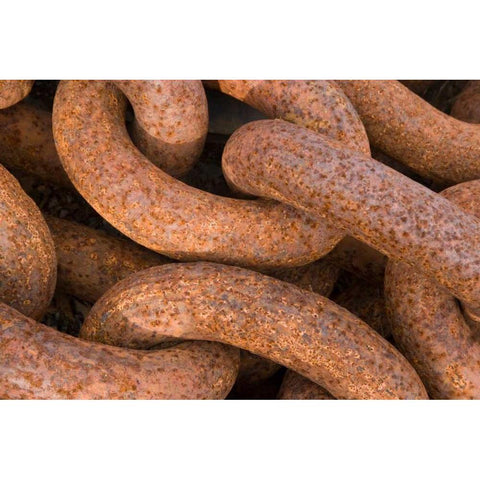 Maritime Chain I White Modern Wood Framed Art Print by Mahan, Kathy