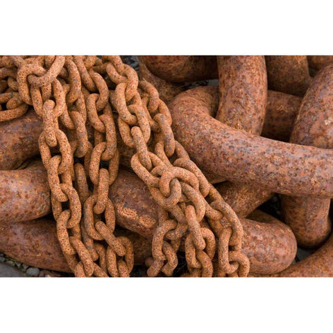 Maritime Chain II Gold Ornate Wood Framed Art Print with Double Matting by Mahan, Kathy