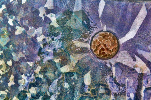 Roche Harbor II Black Ornate Wood Framed Art Print with Double Matting by Mahan, Kathy