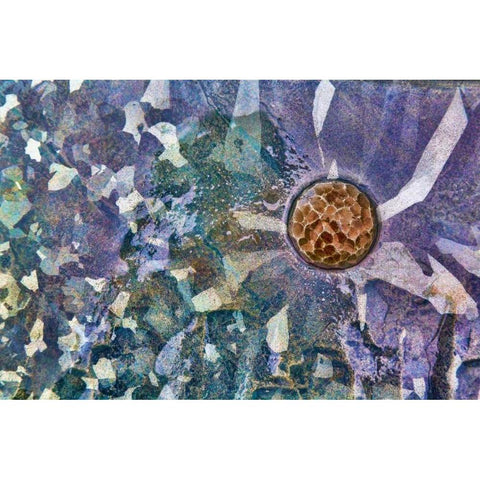 Roche Harbor II Black Modern Wood Framed Art Print with Double Matting by Mahan, Kathy