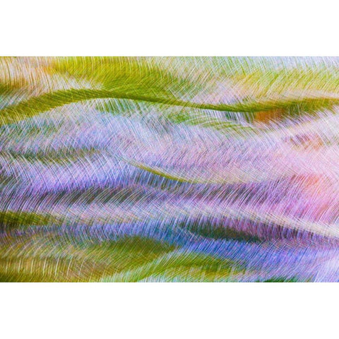 Metal Patterns I Black Modern Wood Framed Art Print with Double Matting by Mahan, Kathy