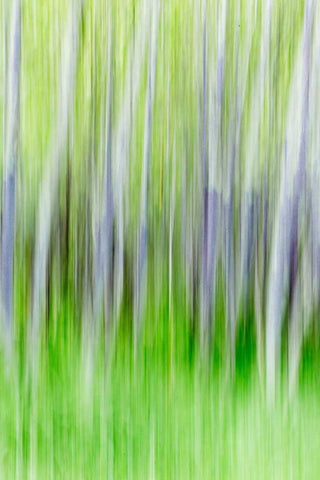 Yakima River Trail I White Modern Wood Framed Art Print with Double Matting by Mahan, Kathy