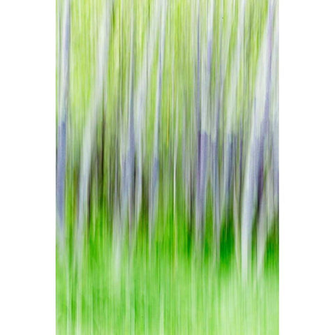 Yakima River Trail I Black Modern Wood Framed Art Print by Mahan, Kathy