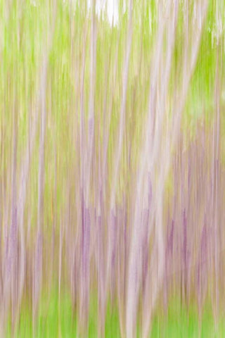 Yakima River Trail II White Modern Wood Framed Art Print with Double Matting by Mahan, Kathy