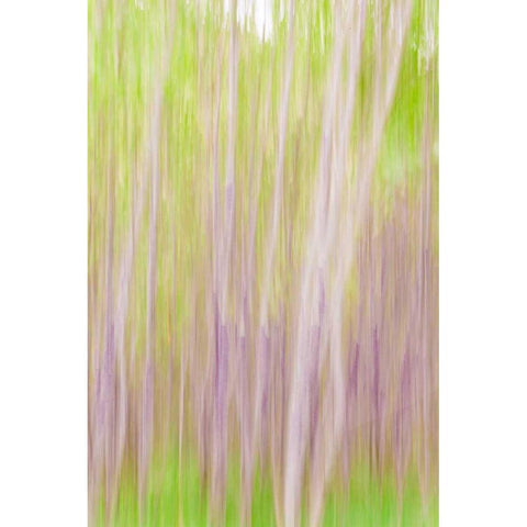 Yakima River Trail II Gold Ornate Wood Framed Art Print with Double Matting by Mahan, Kathy