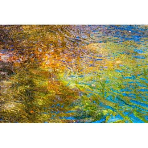 Colorful Reflections I Gold Ornate Wood Framed Art Print with Double Matting by Mahan, Kathy