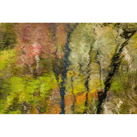 Colorful Reflections II Black Modern Wood Framed Art Print with Double Matting by Mahan, Kathy