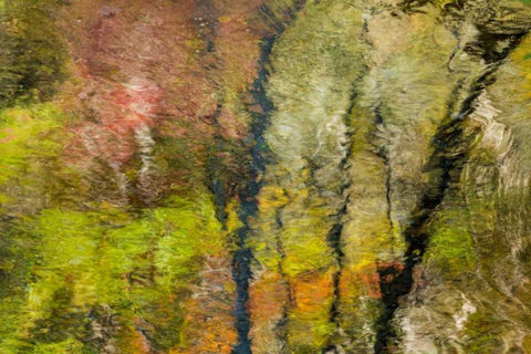 Colorful Reflections II Black Ornate Wood Framed Art Print with Double Matting by Mahan, Kathy