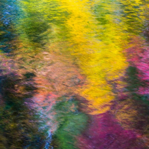 Colorful Reflections IV White Modern Wood Framed Art Print by Mahan, Kathy
