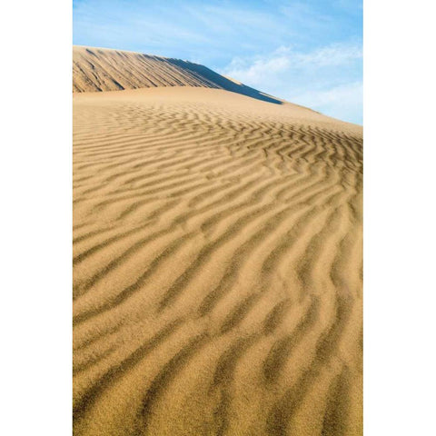 Kelso Dunes II White Modern Wood Framed Art Print by Mahan, Kathy
