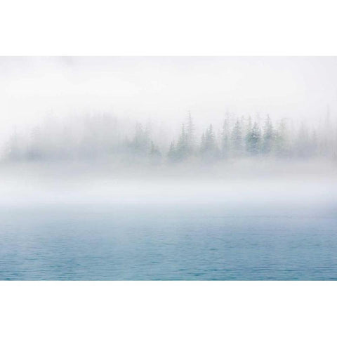 Alaska Fog I Black Modern Wood Framed Art Print with Double Matting by Mahan, Kathy