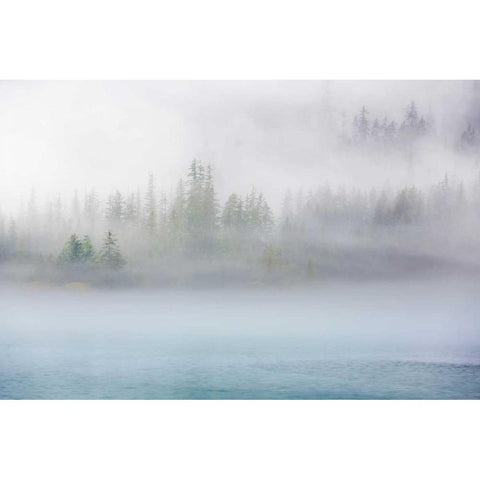 Alaska Fog II Black Modern Wood Framed Art Print by Mahan, Kathy
