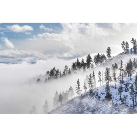 Daggett Pass I White Modern Wood Framed Art Print by Mahan, Kathy