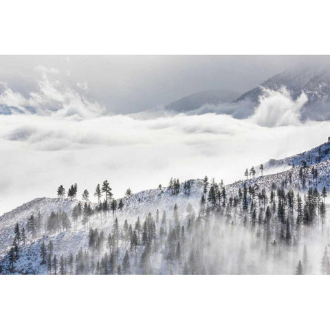 Daggett Pass II White Modern Wood Framed Art Print by Mahan, Kathy