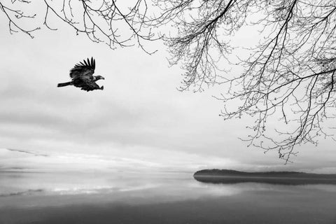 Seabeck Winter I Black Ornate Wood Framed Art Print with Double Matting by Mahan, Kathy