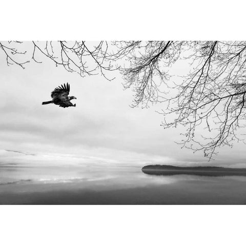 Seabeck Winter I Black Modern Wood Framed Art Print with Double Matting by Mahan, Kathy