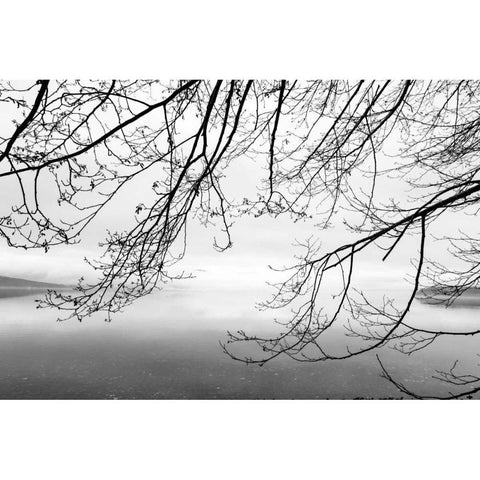 Seabeck Winter II Black Modern Wood Framed Art Print with Double Matting by Mahan, Kathy