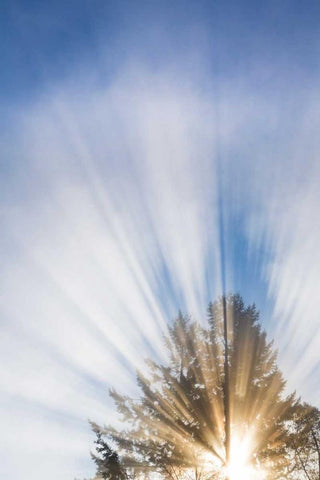 Sunburst I White Modern Wood Framed Art Print with Double Matting by Mahan, Kathy