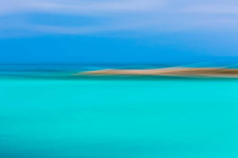 Tropical Abstract I Black Ornate Wood Framed Art Print with Double Matting by Mahan, Kathy