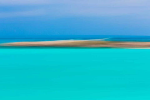 Tropical Abstract II Black Ornate Wood Framed Art Print with Double Matting by Mahan, Kathy