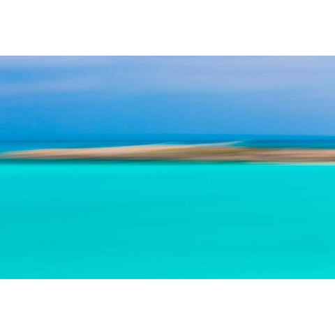 Tropical Abstract II Black Modern Wood Framed Art Print with Double Matting by Mahan, Kathy