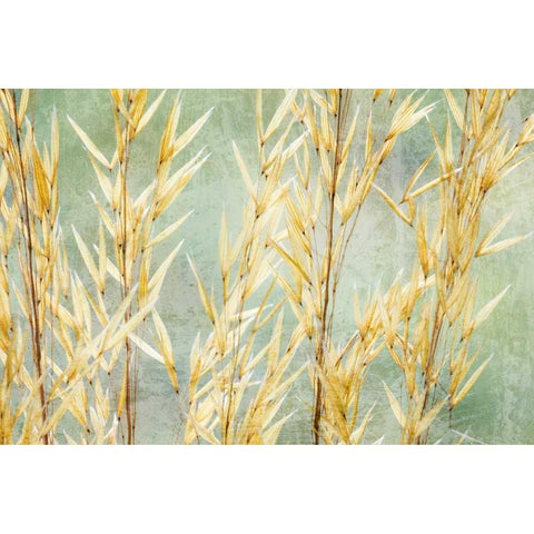 Golden Grasses Black Modern Wood Framed Art Print with Double Matting by Mahan, Kathy