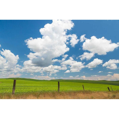 Palouse Farm I White Modern Wood Framed Art Print by Mahan, Kathy