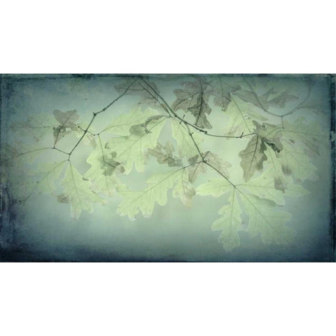 Oak Leaves White Modern Wood Framed Art Print by Mahan, Kathy