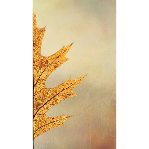 Oak Leaf II Gold Ornate Wood Framed Art Print with Double Matting by Mahan, Kathy