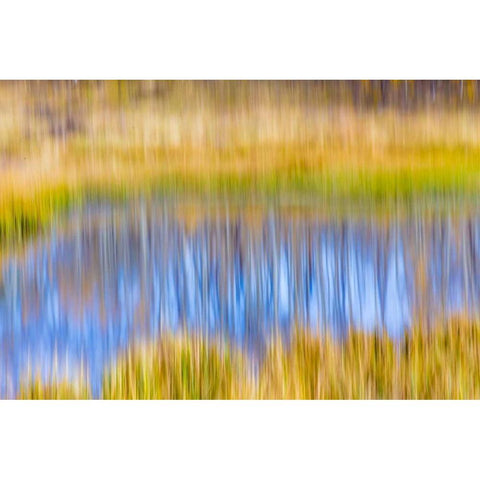 Fall Pond I Black Modern Wood Framed Art Print with Double Matting by Mahan, Kathy