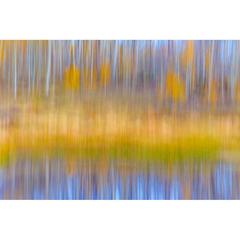 Fall Pond II White Modern Wood Framed Art Print by Mahan, Kathy