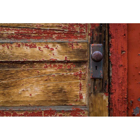 Weathered Door I Gold Ornate Wood Framed Art Print with Double Matting by Mahan, Kathy