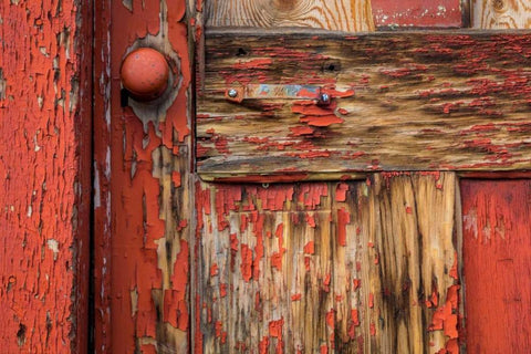 Weathered Door II Black Ornate Wood Framed Art Print with Double Matting by Mahan, Kathy