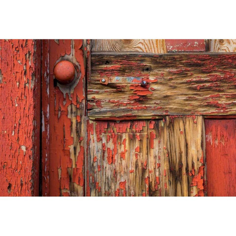 Weathered Door II Gold Ornate Wood Framed Art Print with Double Matting by Mahan, Kathy