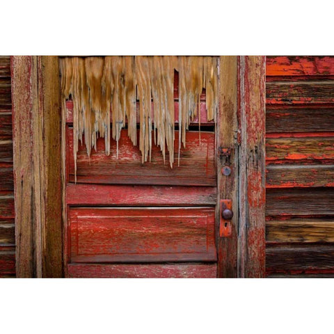Weathered Door III White Modern Wood Framed Art Print by Mahan, Kathy