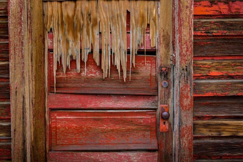 Weathered Door III Black Ornate Wood Framed Art Print with Double Matting by Mahan, Kathy