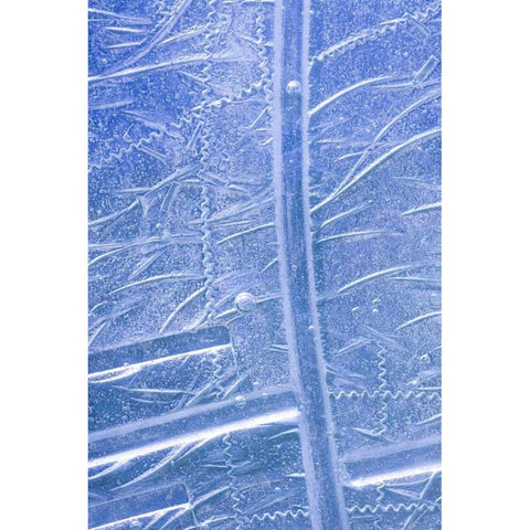 Patterns in Glass I Black Modern Wood Framed Art Print by Mahan, Kathy