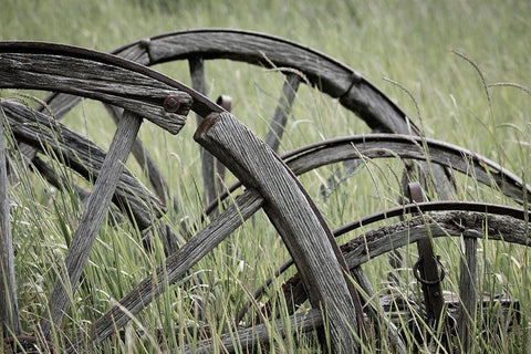 Old Wagon Wheels I Black Ornate Wood Framed Art Print with Double Matting by Mahan, Kathy