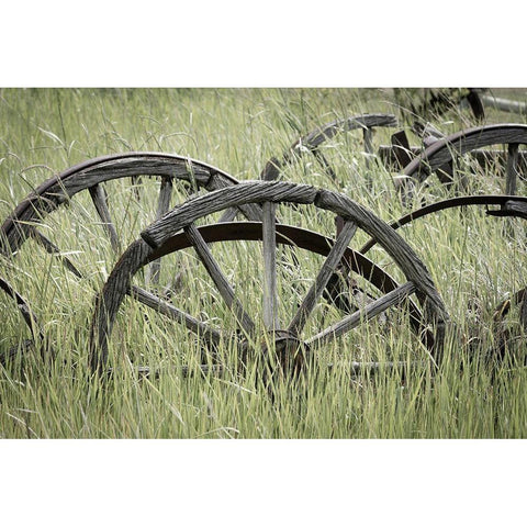 Ole Wagon Wheels II Black Modern Wood Framed Art Print with Double Matting by Mahan, Kathy